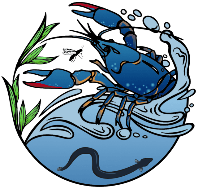 OSDONE logo